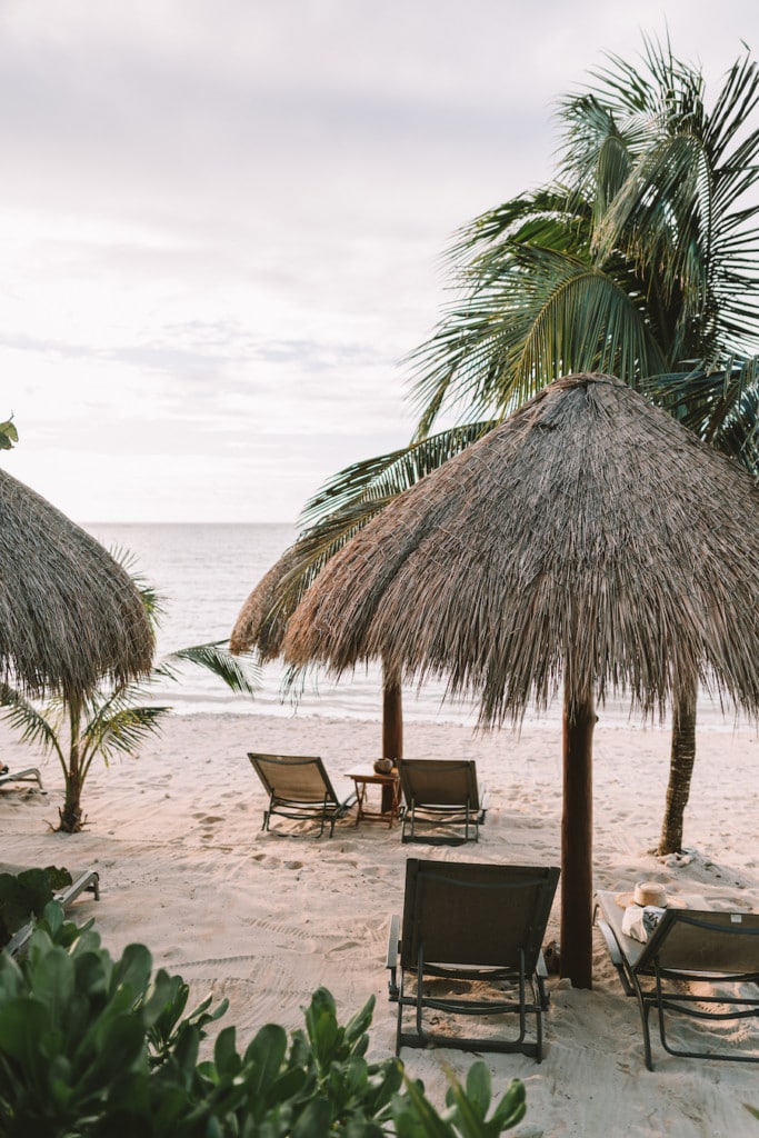 lounge chairs and palm trees on beach in Mexico