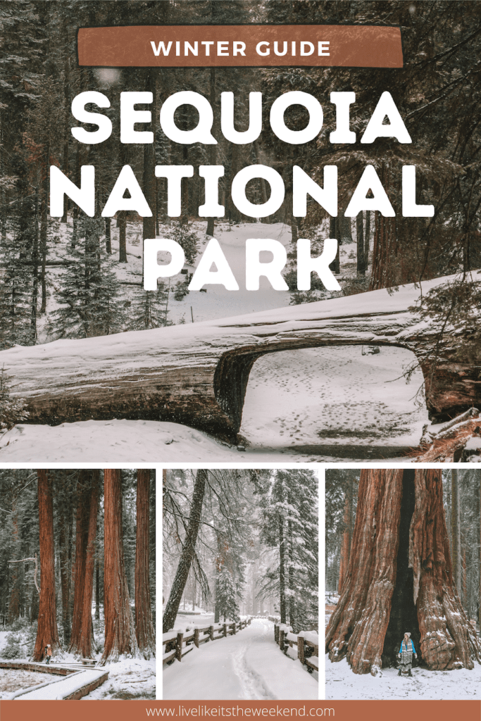 Pin cover for Sequoia National Park winter guide