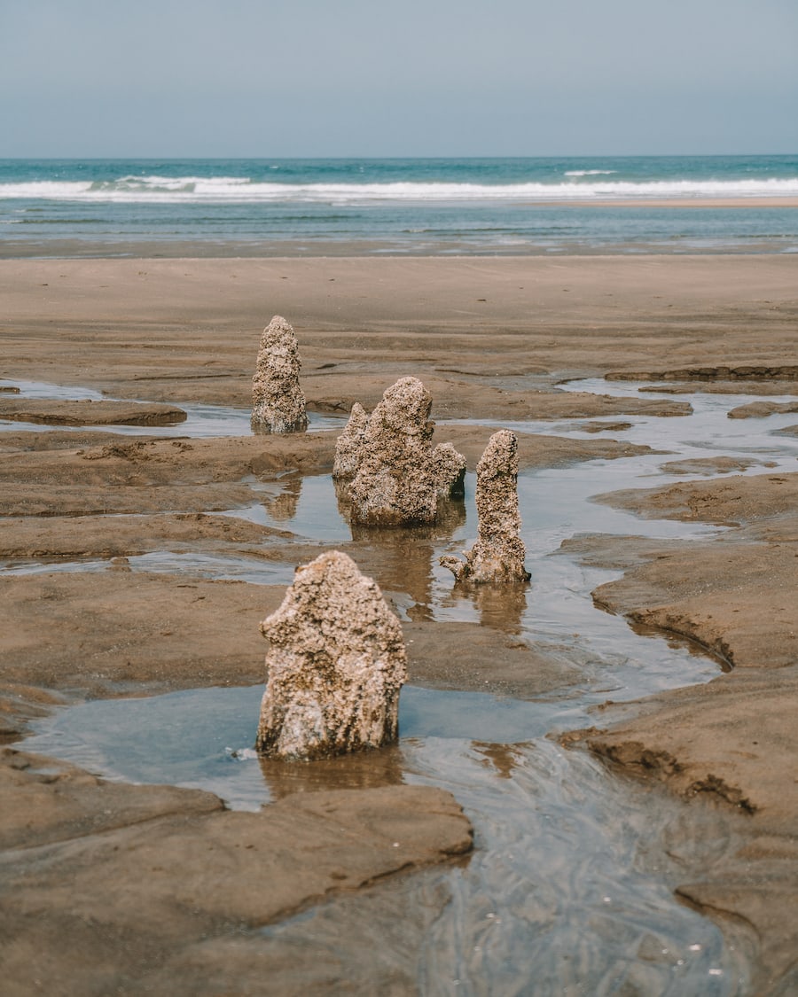 Neskowin Beach rocks on northern Oregon Coast