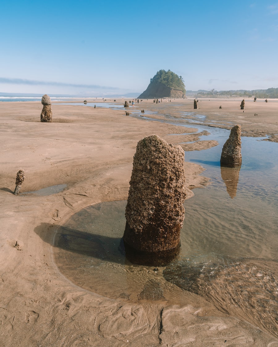 Neskowin Beach rocks on northern Oregon Coast