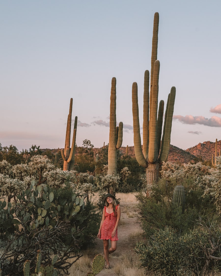 Michelle Halpern posing with cacti for Arizona road trip blog