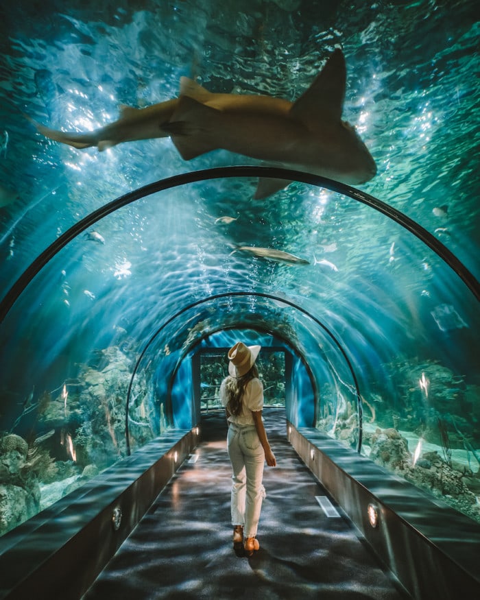 Michelle Halpern posing at Aquarium for weekend getaways from Houston blog