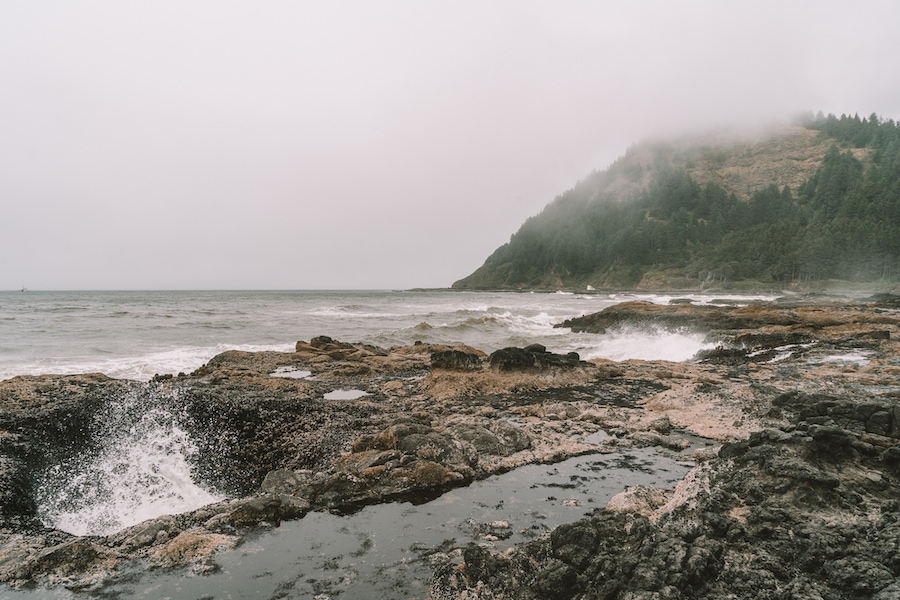 cloudy and foggy day on Cape Perpetua 