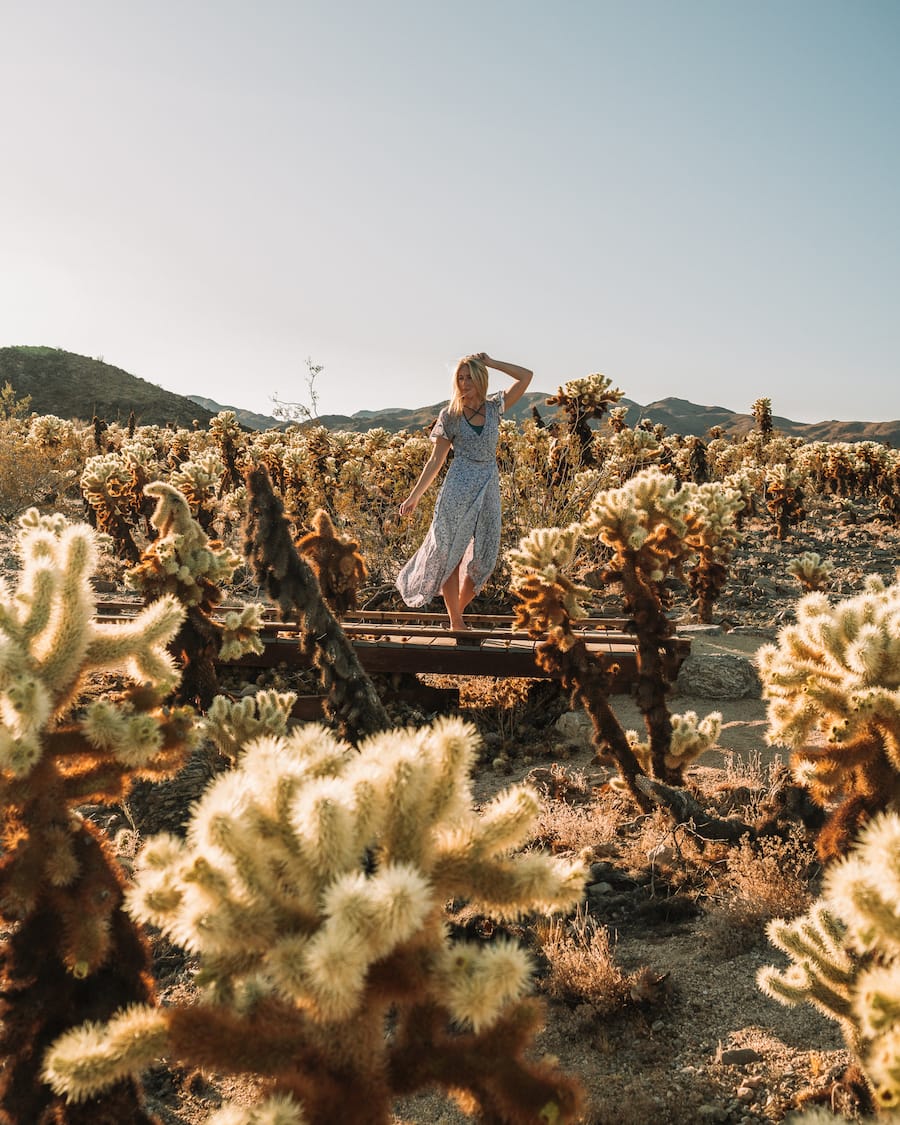 Michelle Halpern posing in Cholla Cactus Garden for things to do in Joshua Tree blog