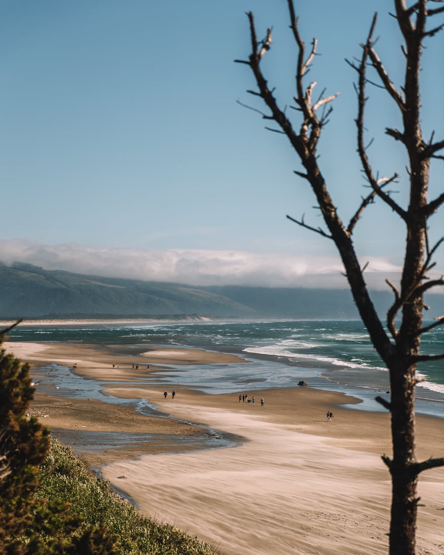 Beach on the northern Oregon Coast