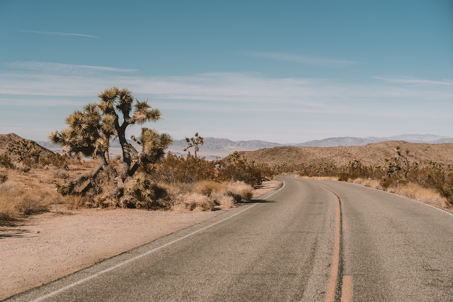 Open road in Joshua Tree National Park
