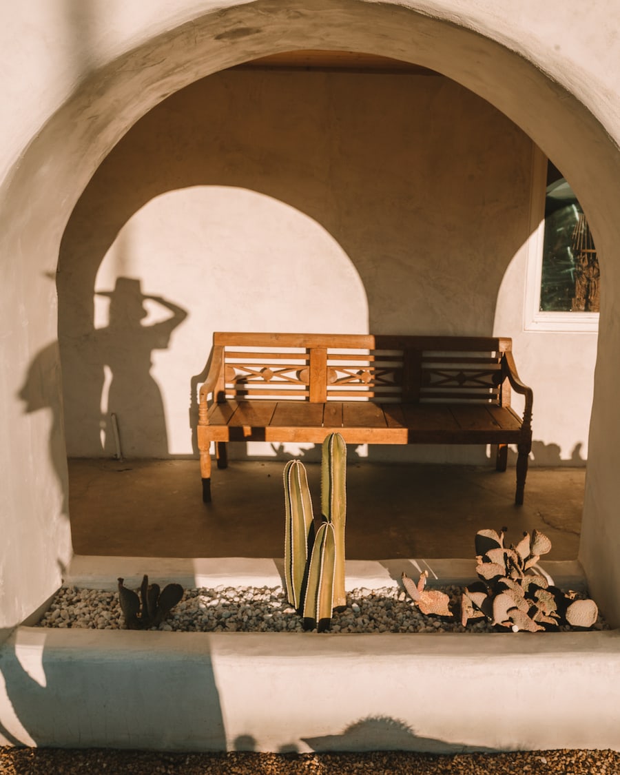 Bench and cactus with Michelle Halpern's shadow in Joshua Tree