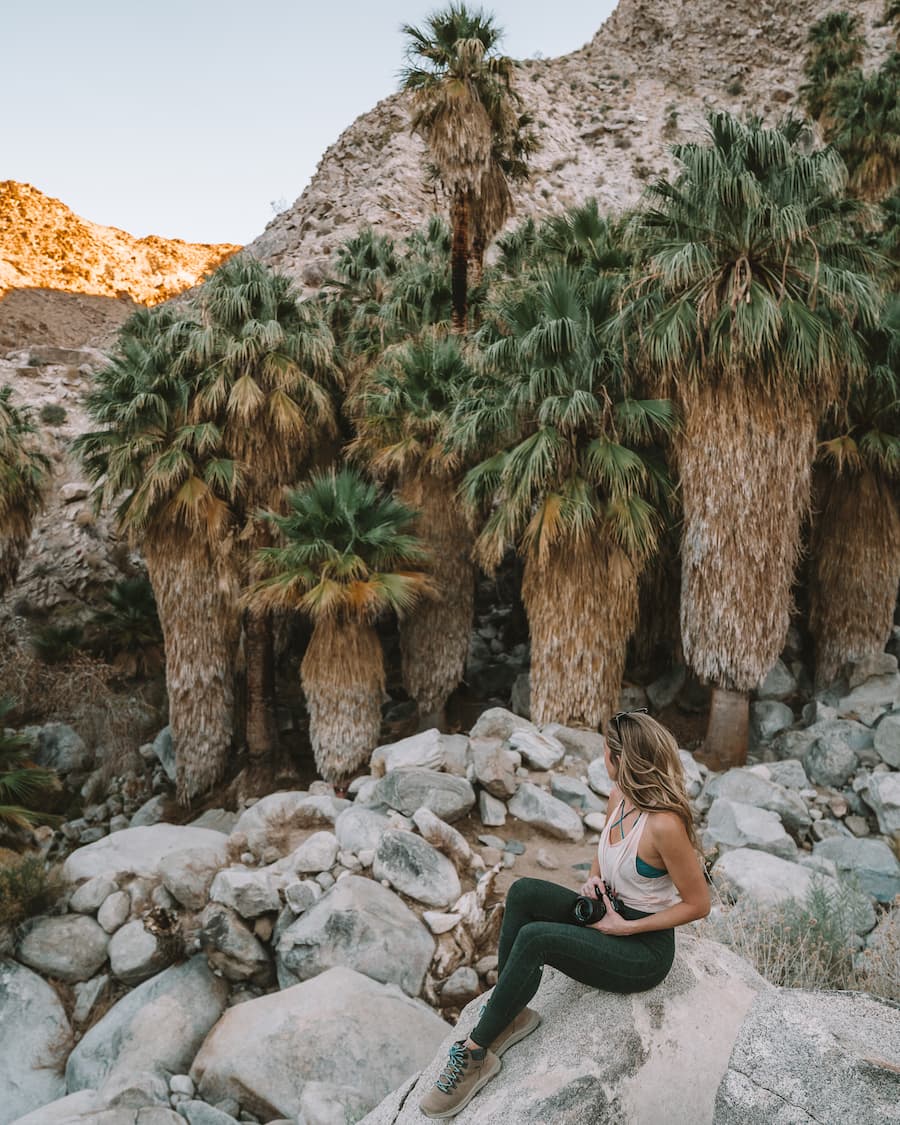 Michelle Halpern sitting on rock next to palm trees