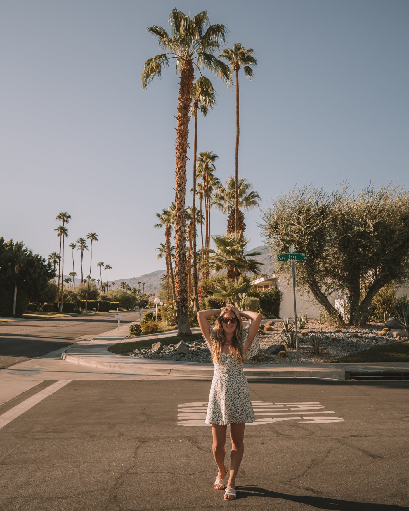 Palm tree lined streets in Palm Springs, California