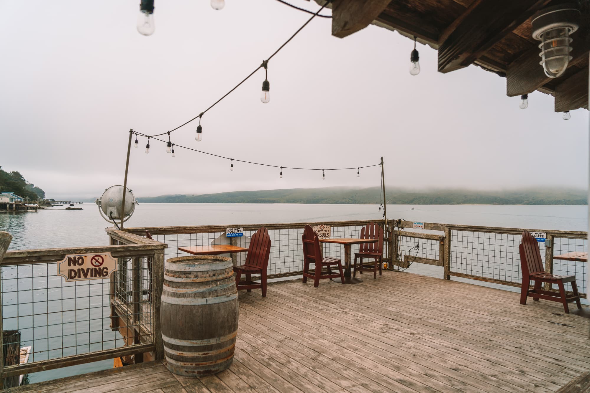 Dock at Nick's Cove overlooking bay in Point Reyes, California in spring