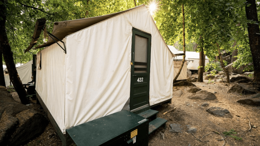 Curry Village glamping tent in Yosemite