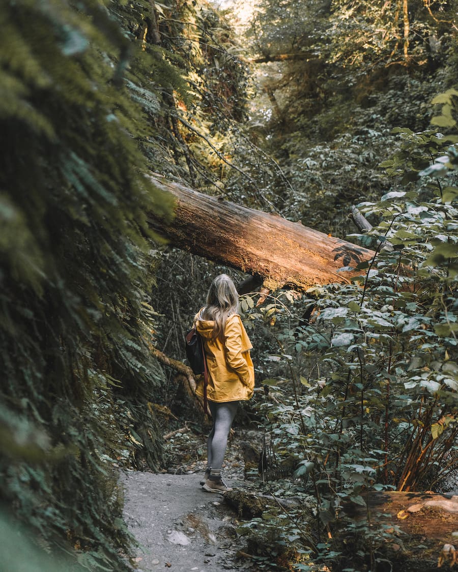 Michelle Halpern in Fern Canyon