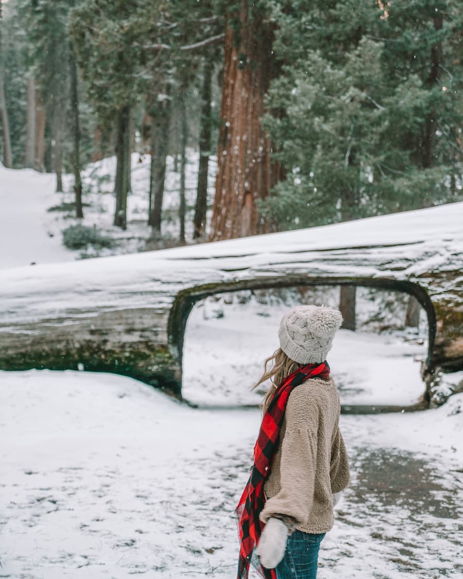 Michelle Halpern in the snow at the Sequoia tunnel