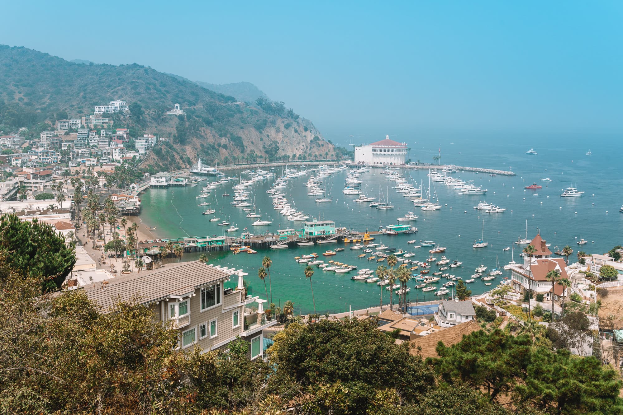 Where to visit in California in summer: Catalina Island
