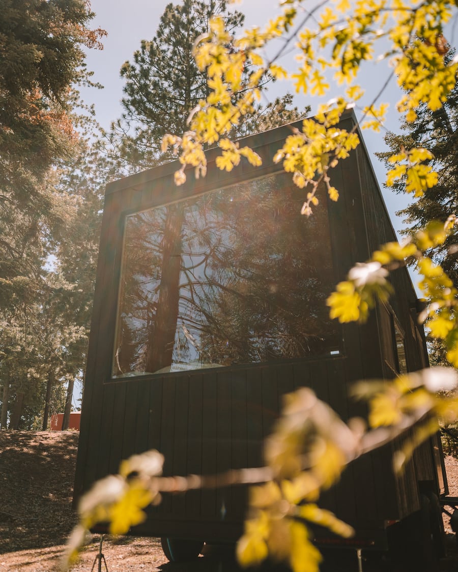 View of Getaway cabin with leaves shimmering in the sun 