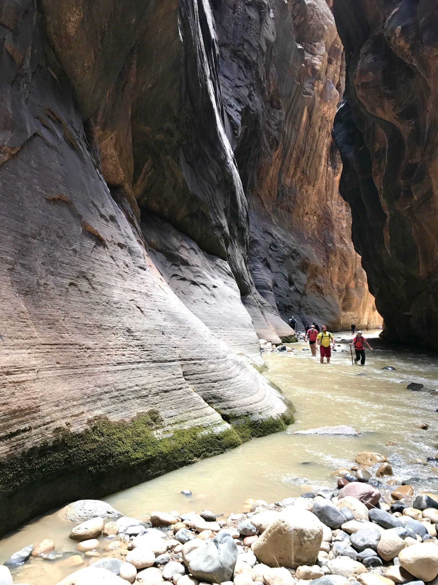 The Narrows in Zion National Park for your Utah bucket list
