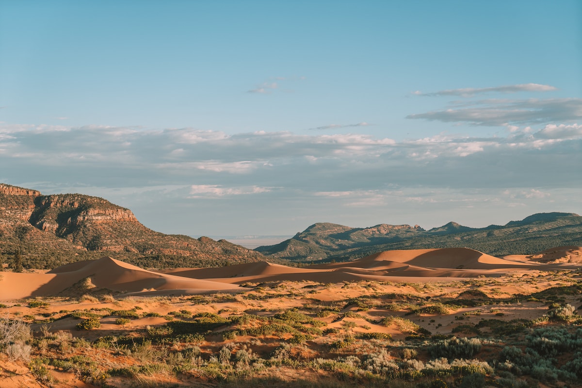 Coral pink sand dunes in Utah