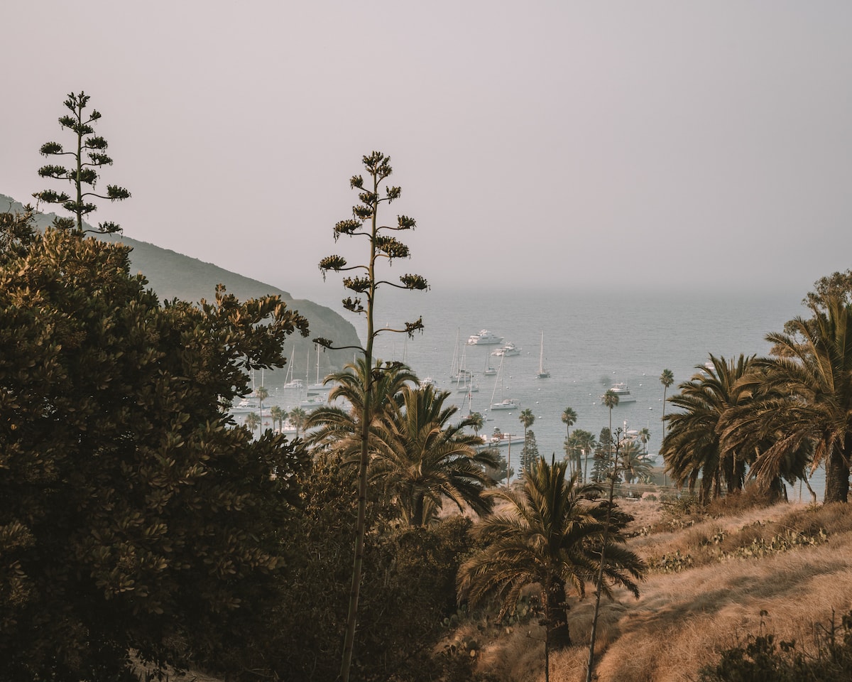 Two Harbors, Catalina Island