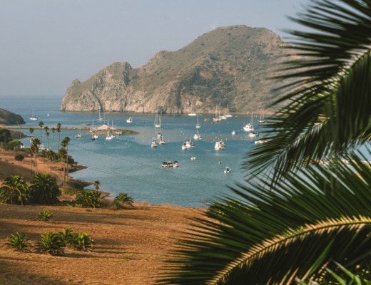 Cat Harbor on Catalina Island