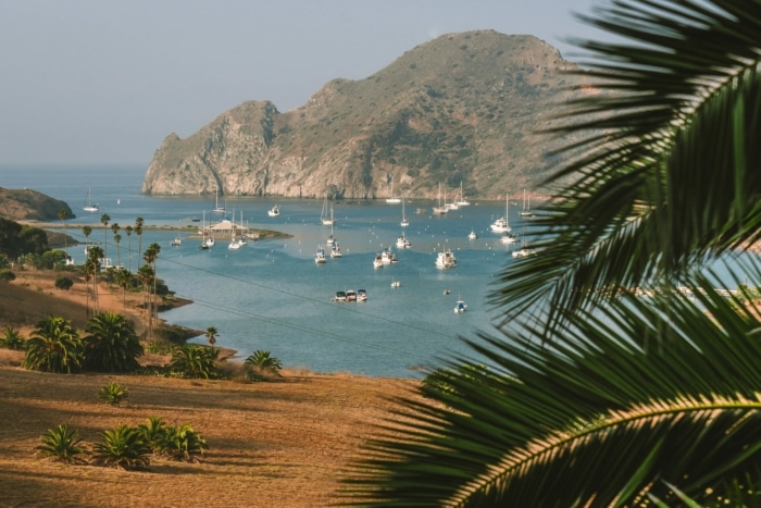 Cat Harbor on Catalina Island