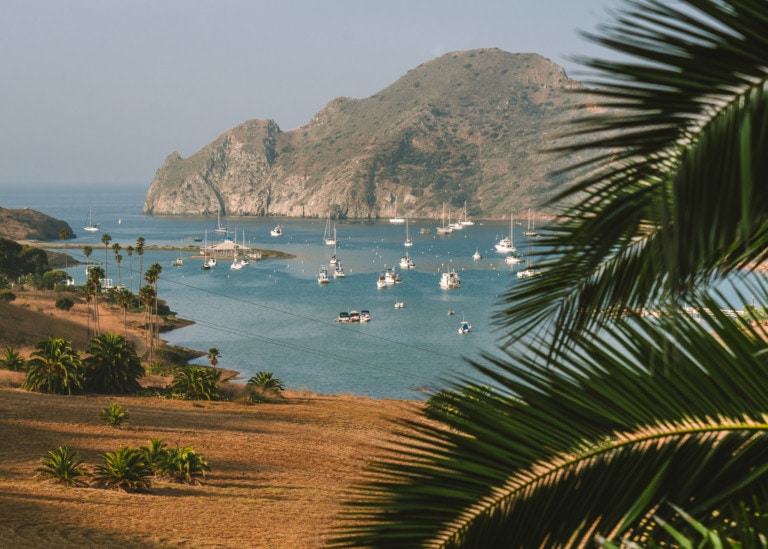 Cat Harbor on Catalina Island