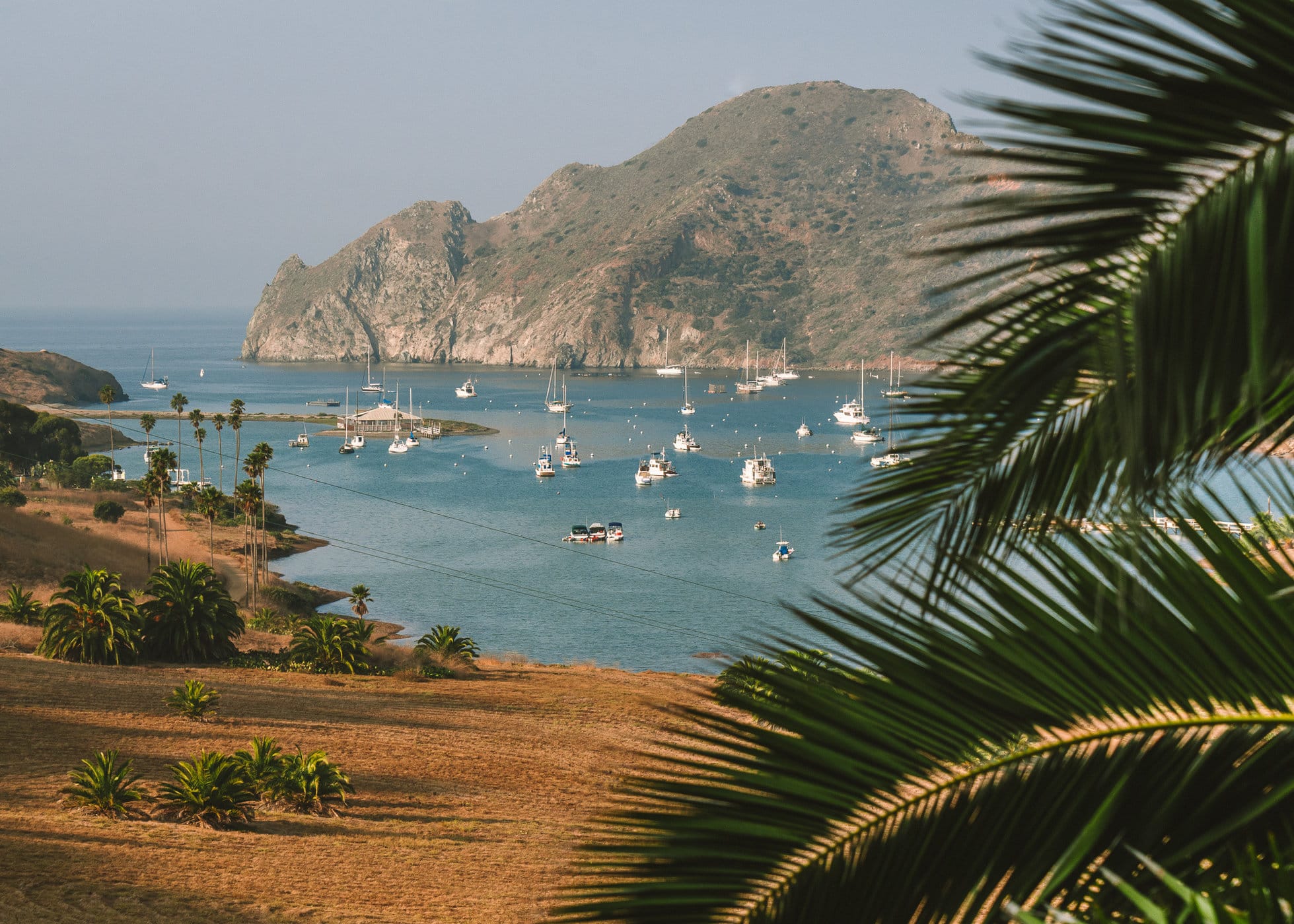how-to-plan-the-perfect-day-trip-to-catalina-island-live-like-it-s