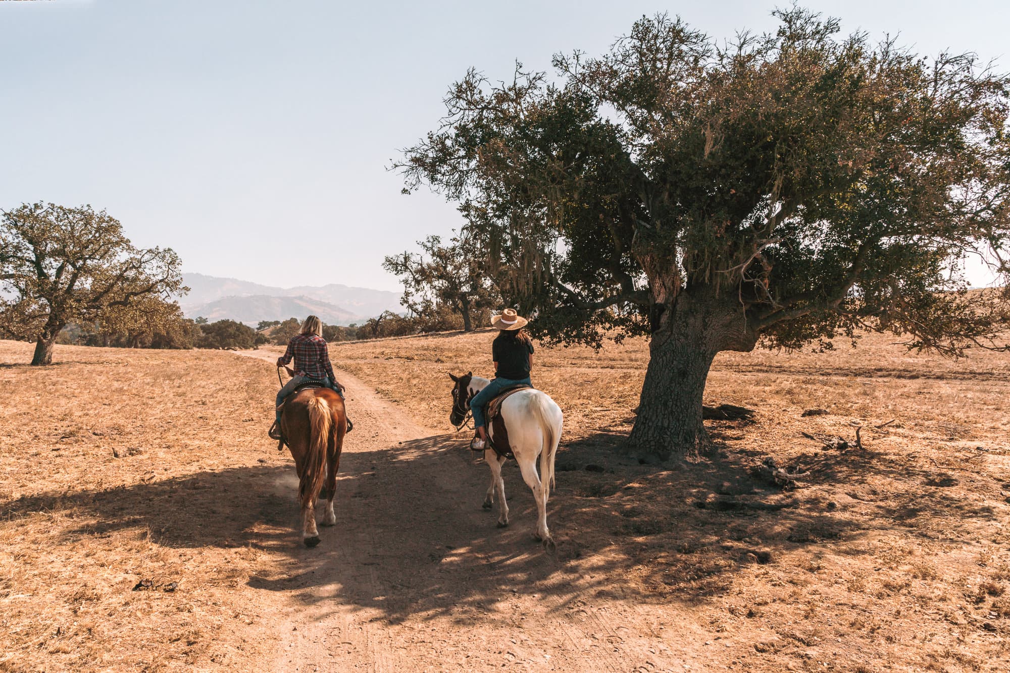 Horseback riding in Santa Ynez Valley