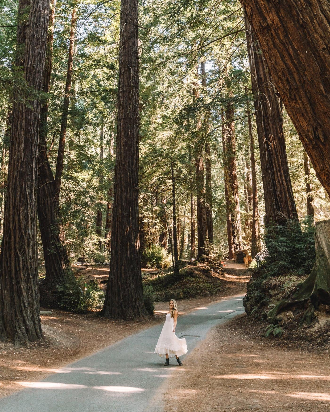 Michelle Halpern amongst the California redwood trees