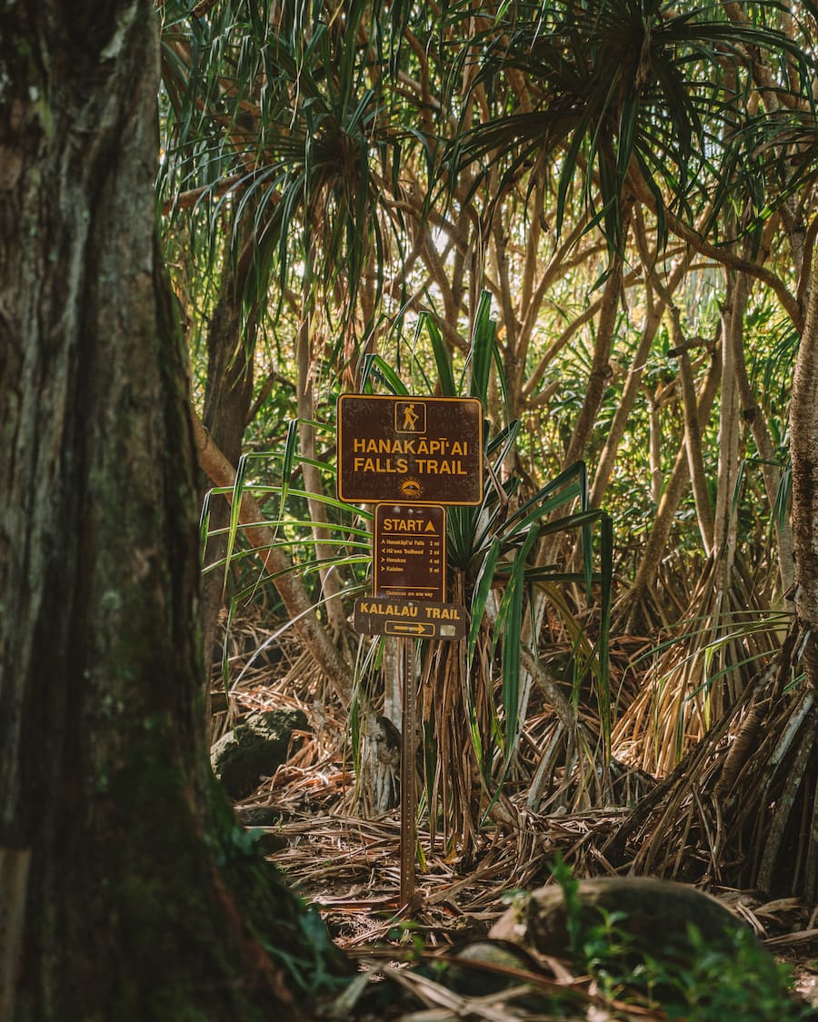 The hike to Hanakapi’ai Falls