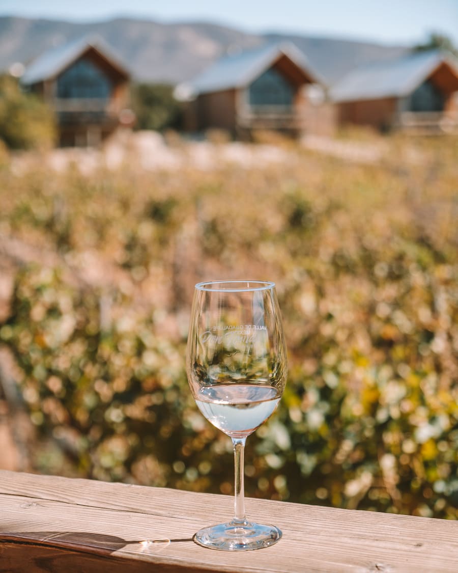 Wine glass overlooking vineyard at Don Tomas winery