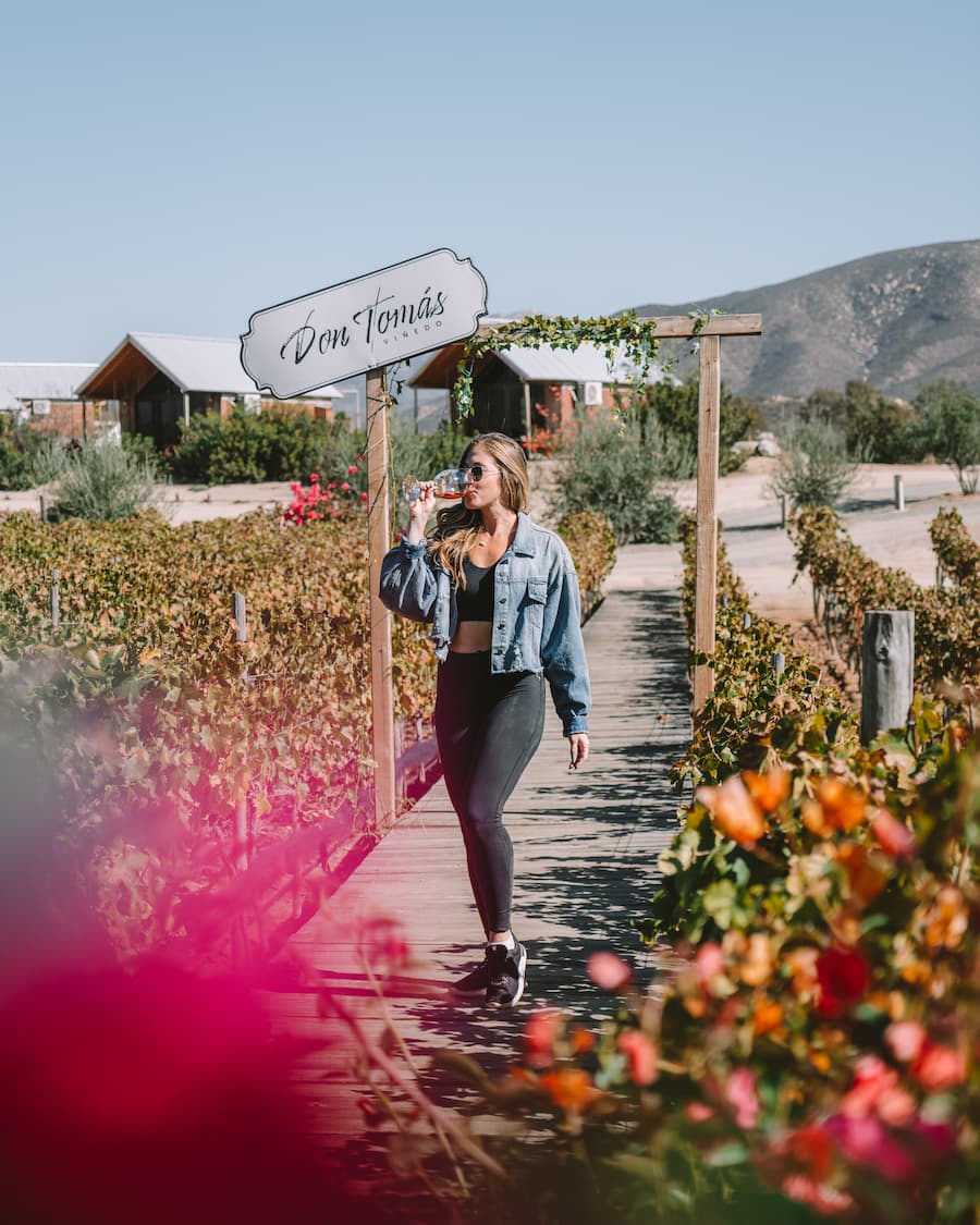 Michelle Halpern on the boardwalk at Don Tomas winery, Valle de Guadalupe itinerary