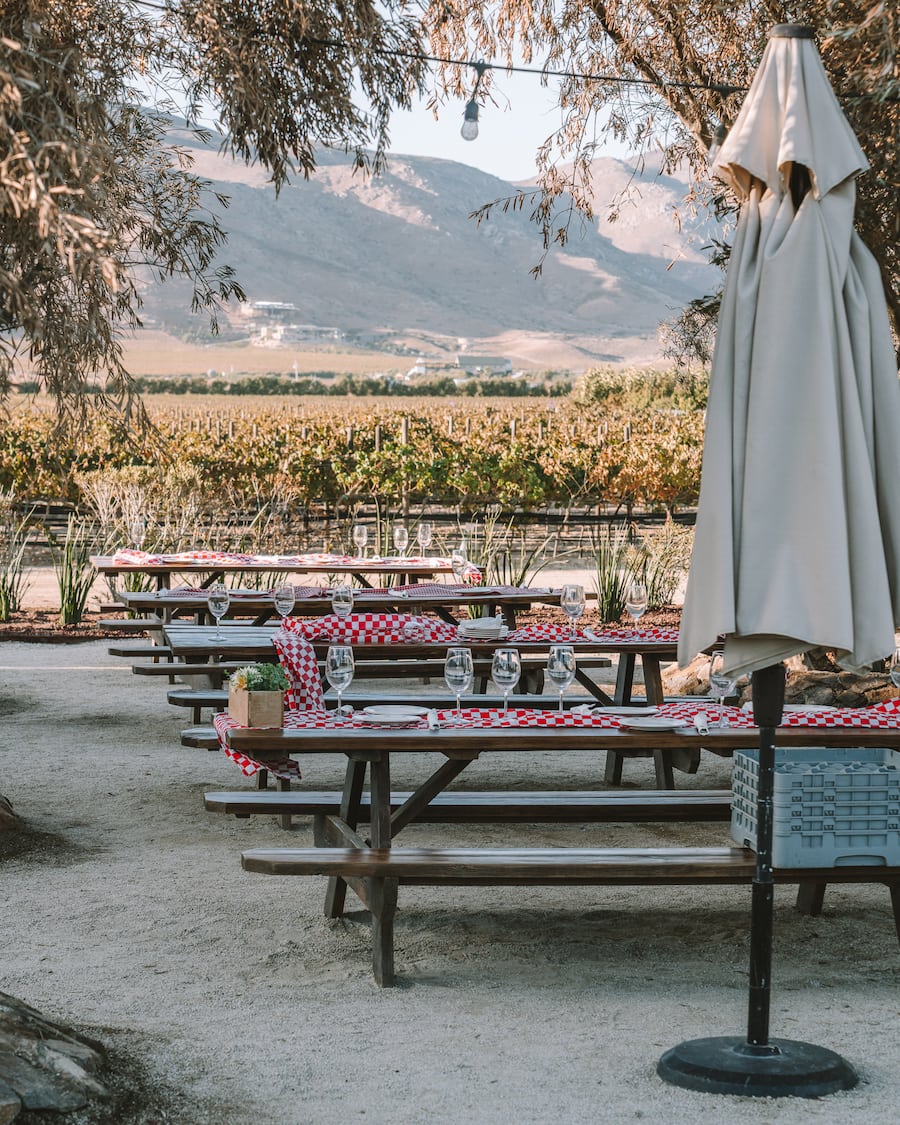 El Cielo winery, Valle de Guadalupe itinerary