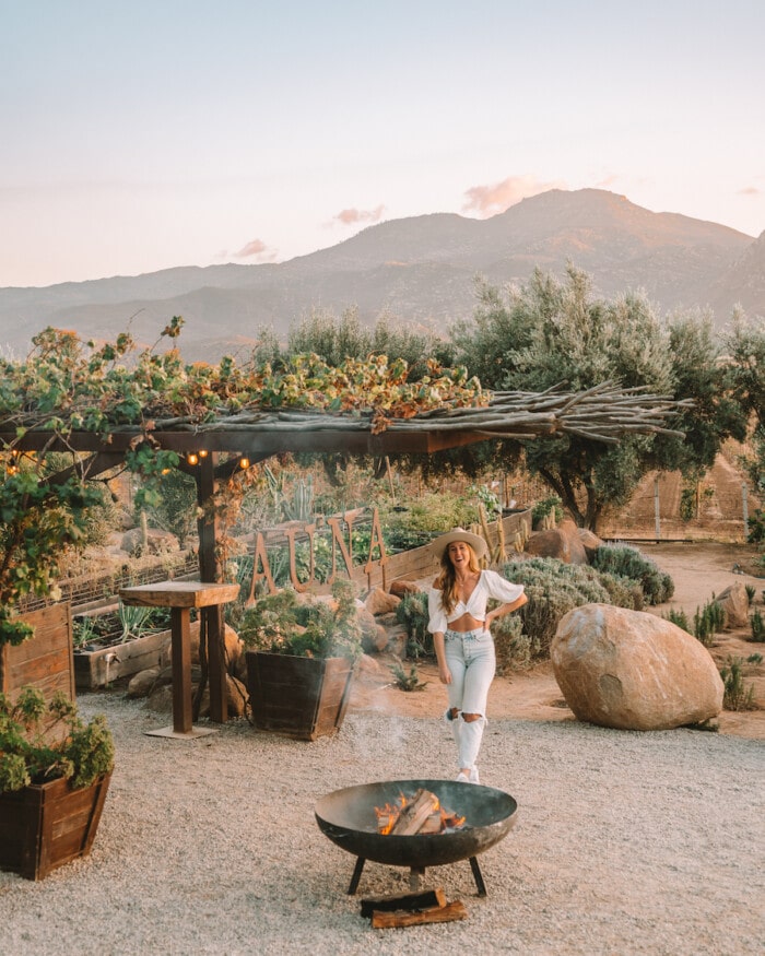 Fauna Restaurant Michelle Halpern in front of Fauna Restaurant, Valle de Guadalupe itinerary