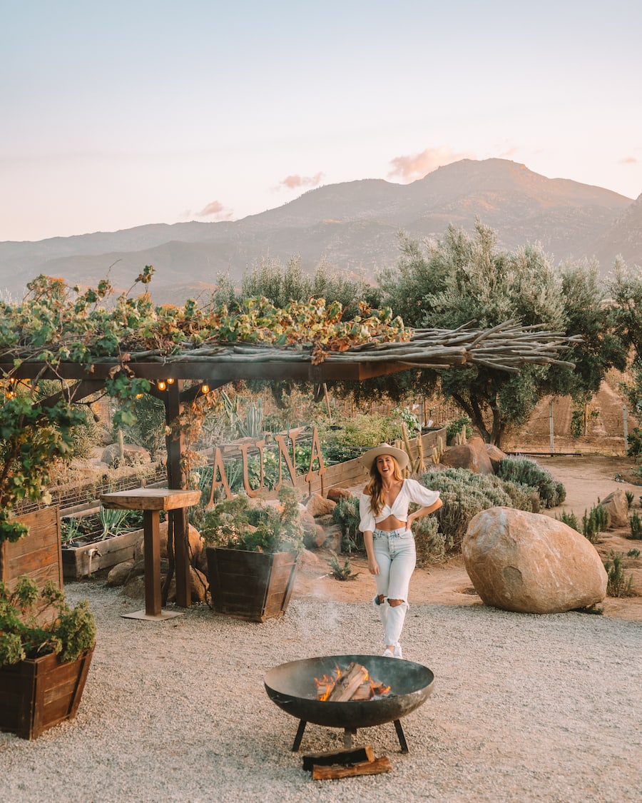 Michelle Halpern in front of Fauna Restaurant, Valle de Guadalupe itinerary