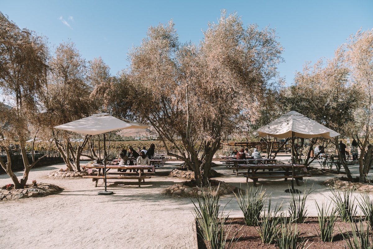 El Cielo winery in Valle de Guadalupe