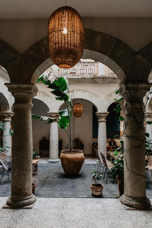 Courtyard with lush greenery inside Casa Antonieta, Oaxaca
