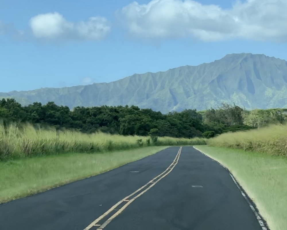 Kauai travel tips: you need a rent a car in Kauai