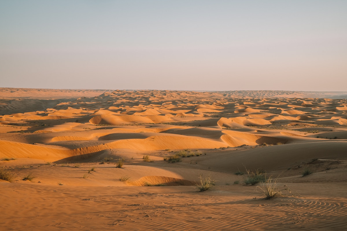 Sand Dunes at sunset in Wahiba Sands