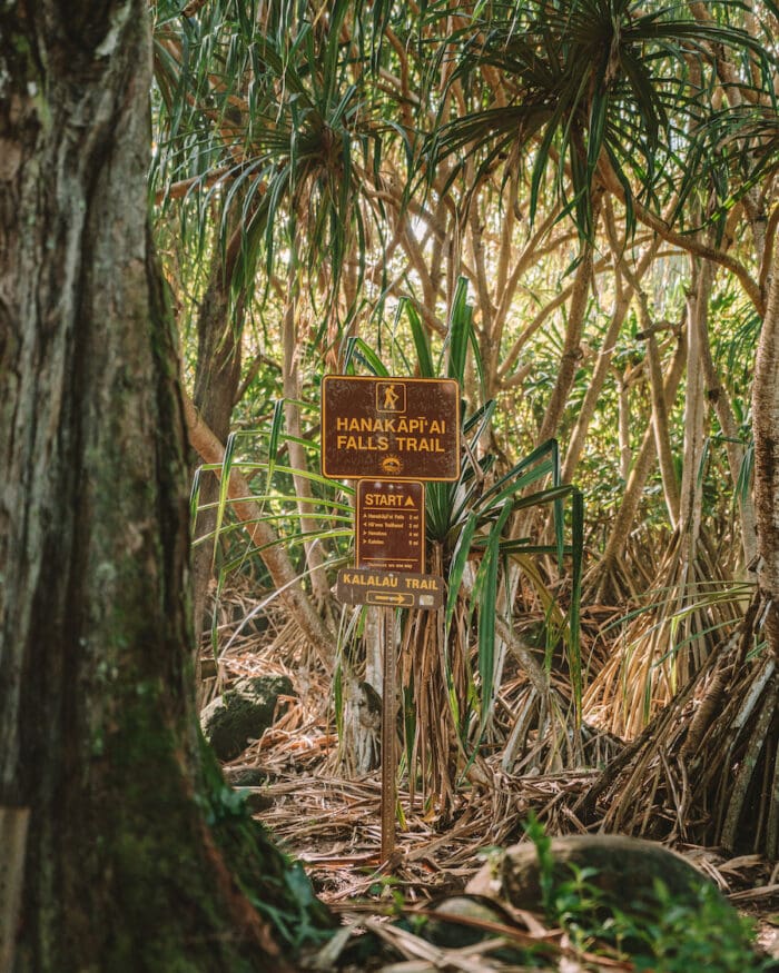 Signage for the Hanakapiai Falls Trail