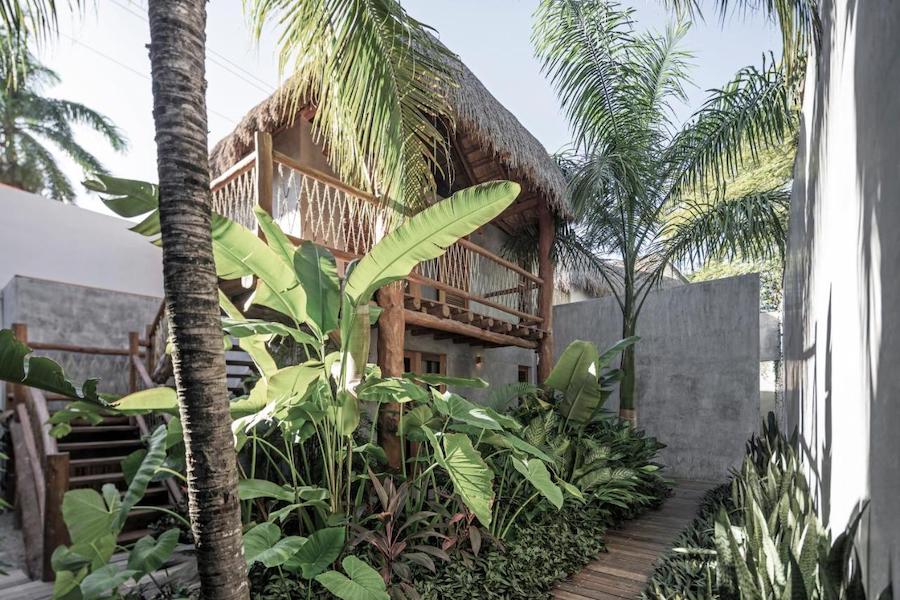 Jungle bungalows at Casa Hormiga