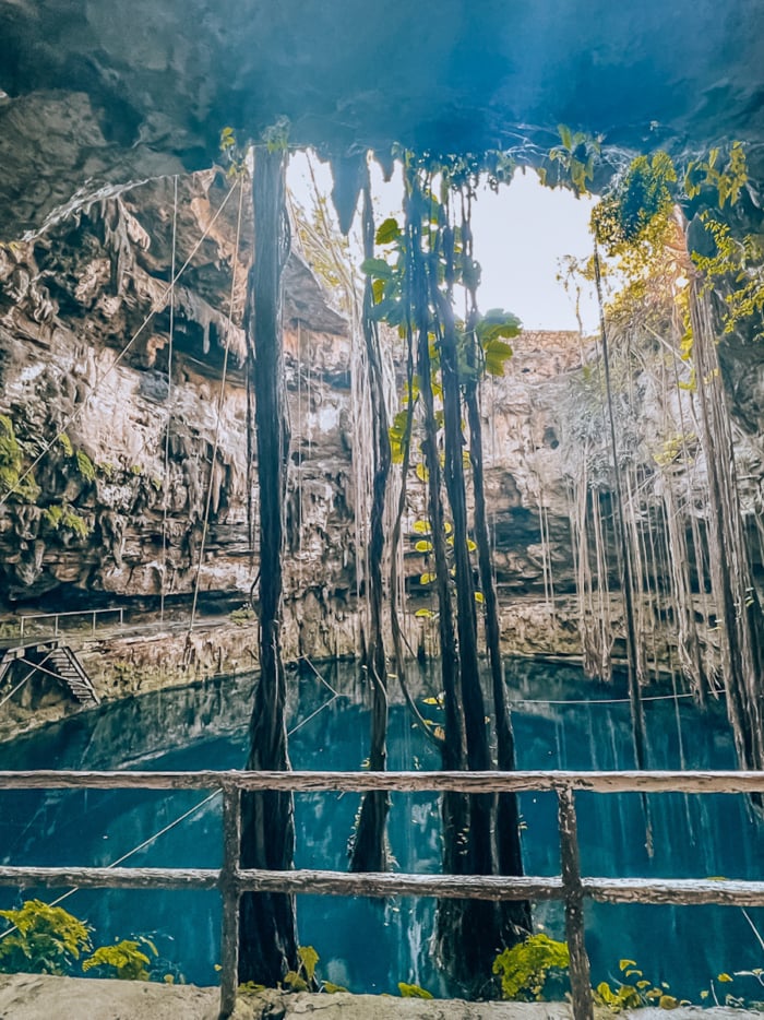 Vines hanging down from Cenote Oxman - one of the best Tulum cenotes