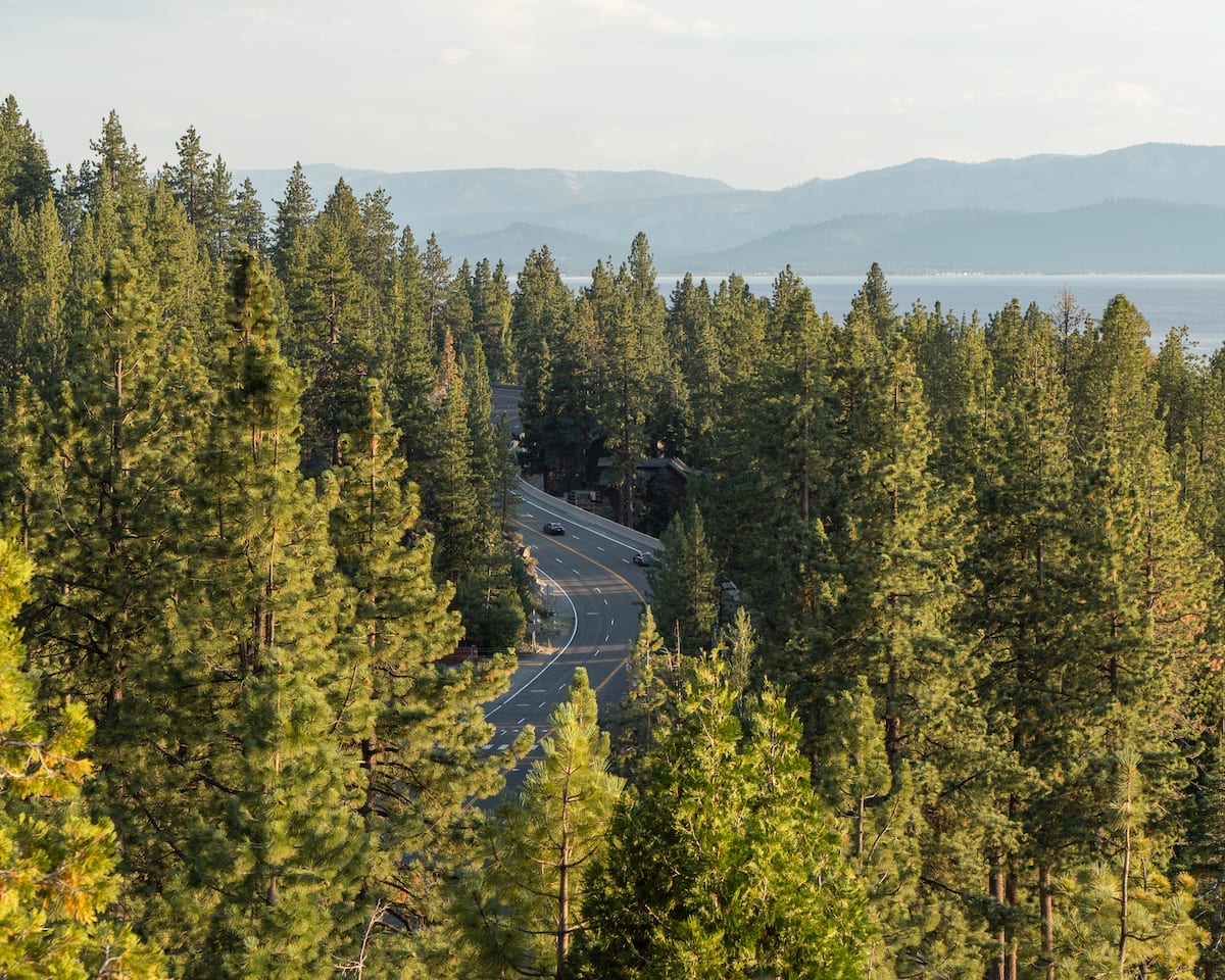 Road cutting through pine trees next to Lake Tahoe, Nevada