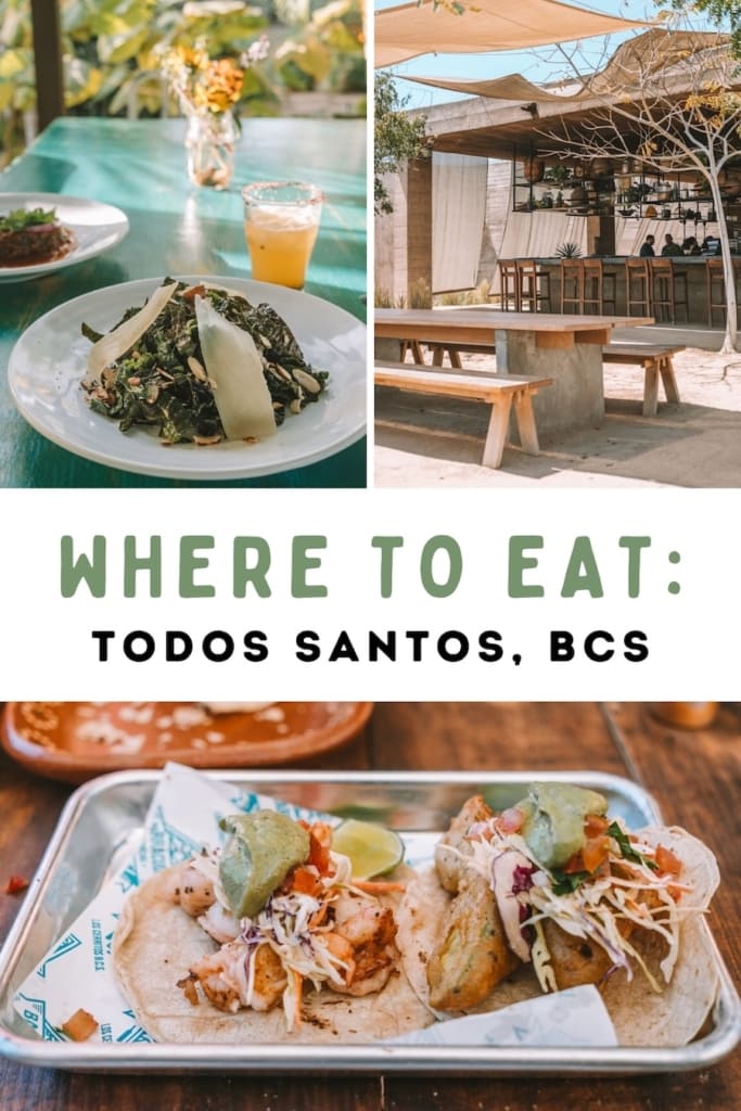 Pin cover for blog post: Best Restaurants in Todos Santos, Mexico
