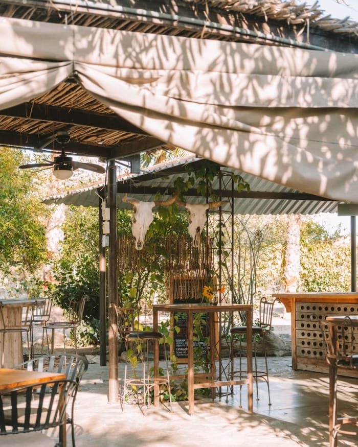 Garden seating at Hierbabuena, one of the best restaurants in Todos Santos