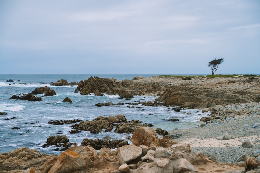 View of rocky coast and ocean from Pebble Beach's 17 Mile Drive