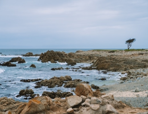 View of rocky coast and ocean from Pebble Beach's 17 Mile Drive