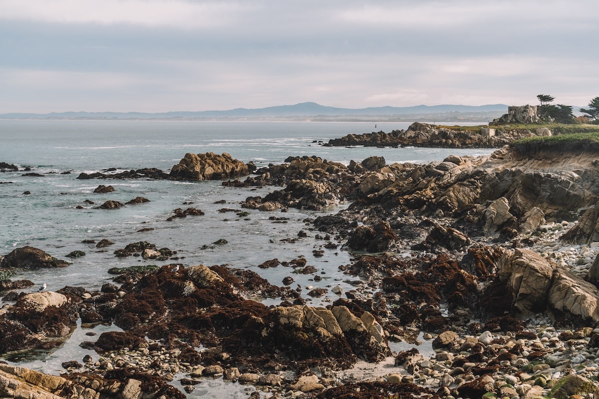 Views along the Monterey Bay Coastal Recreation trail