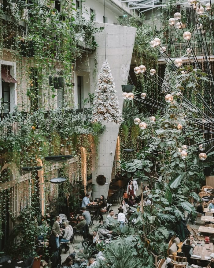Holiday decorated interior with lush greenery at TwentySix