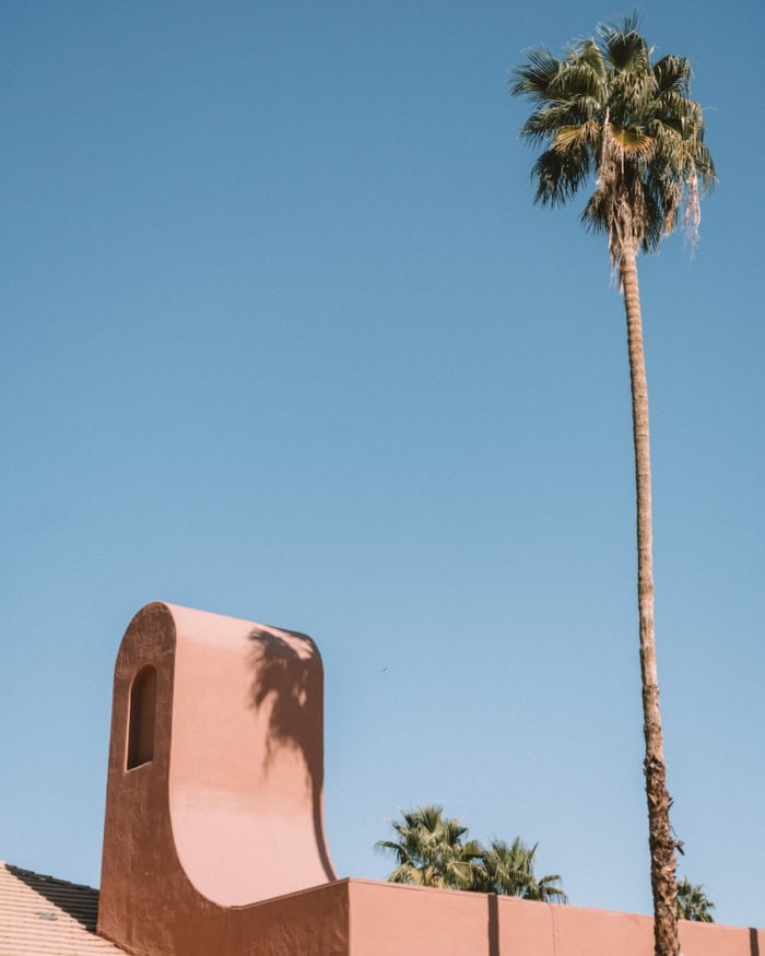 Palm tree casting a unique shadow on a building in Palm Springs, California
