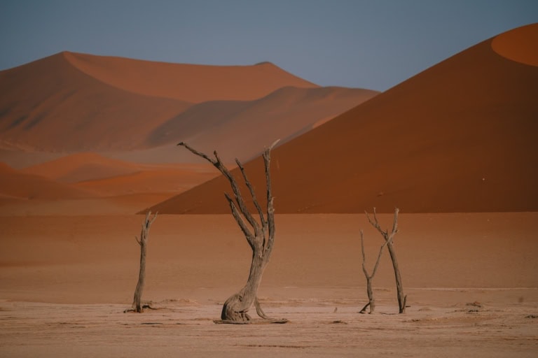 Red sand dunes at Sossusvlei, Namibia